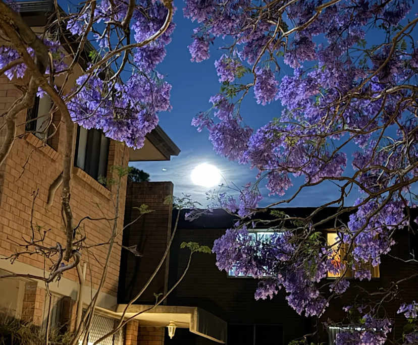 Room with own bathroom