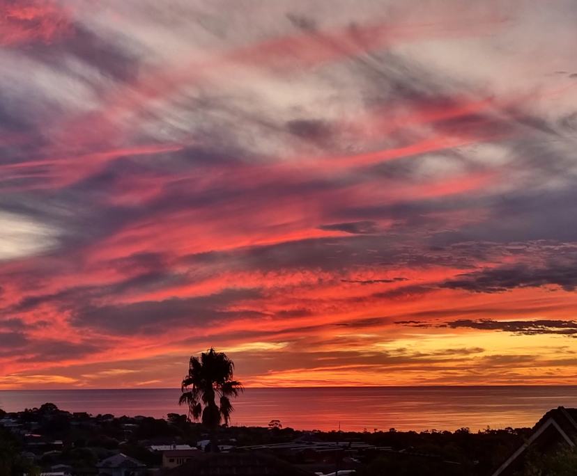 $313, Share-house, 2 bathrooms, Seaview Downs SA 5049