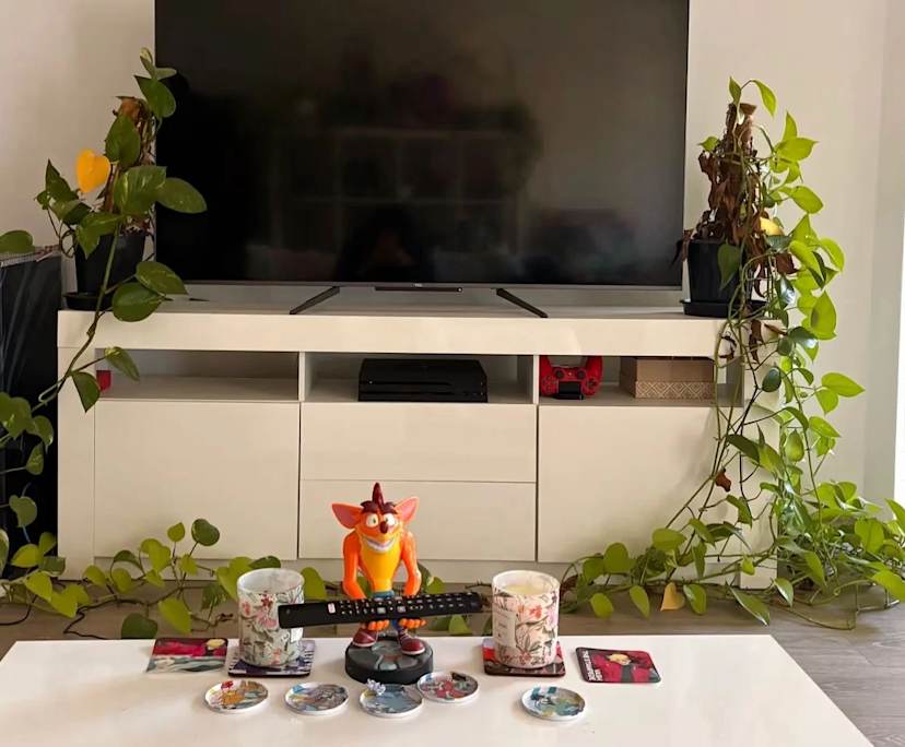 $275, Flatshare, 2 bathrooms, Penshurst NSW 2222