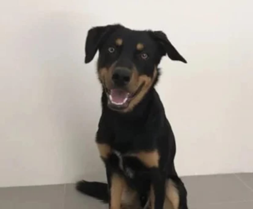 $370, Share-house, 4 bathrooms, Karawara WA 6152