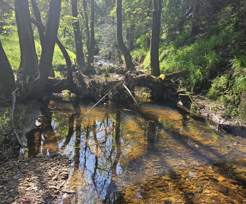 Room for Rent in Coromandel Valley, Adelaide 260,...