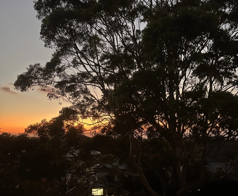 Unfurnished room in a share house