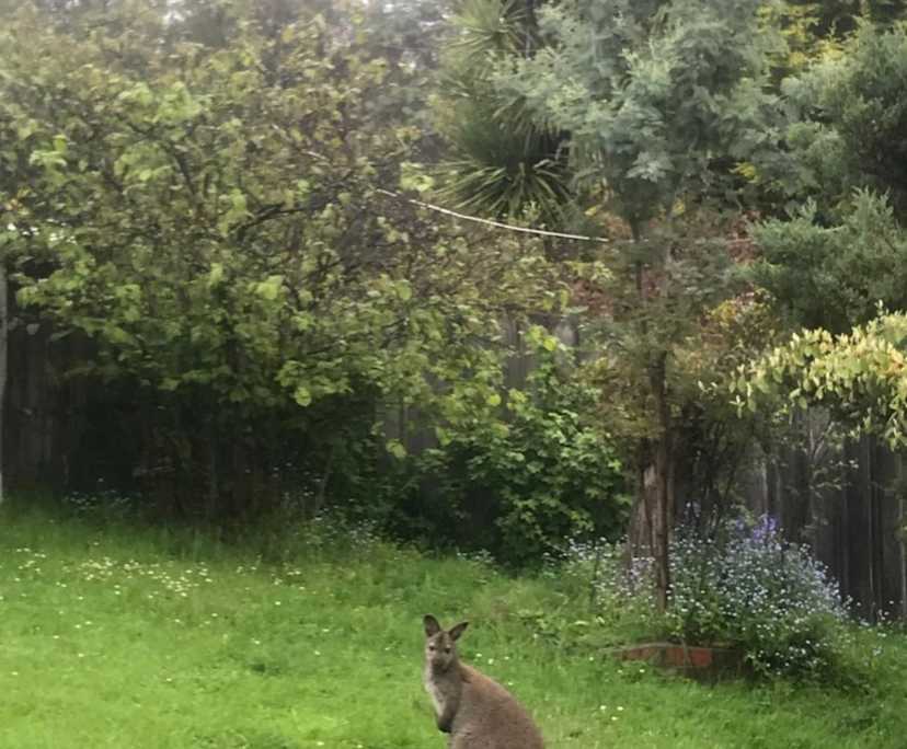 Room in a share house