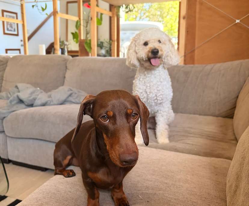 $260, Share-house, 5 bathrooms, Tarragindi QLD 4121