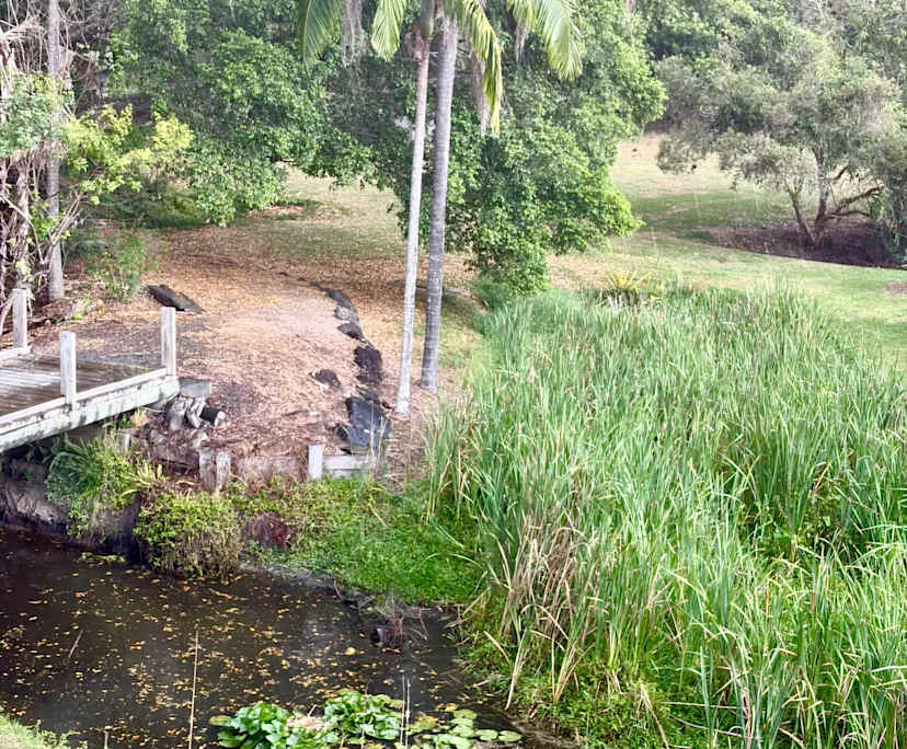 Furnished room with ensuite in a share house