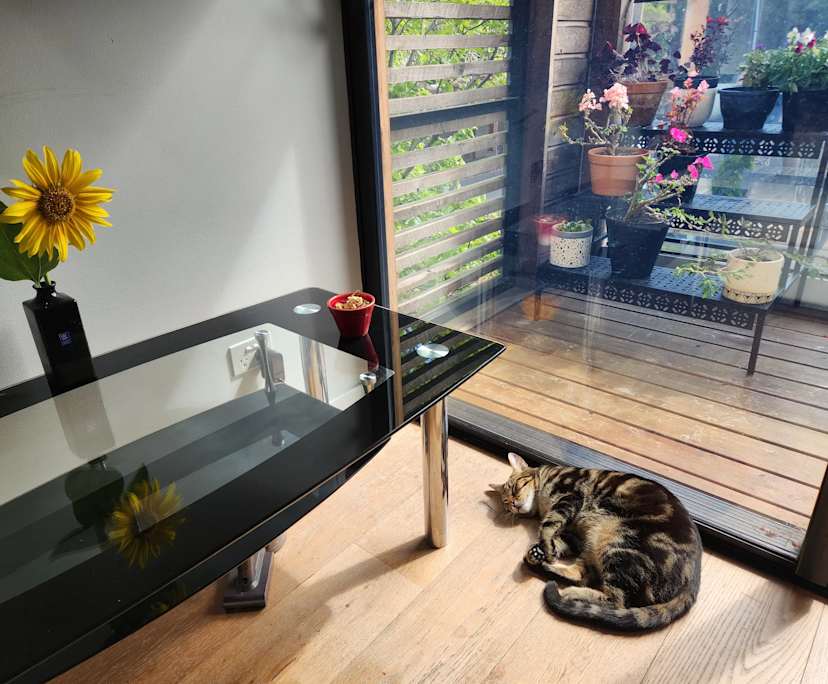 Furnished room with own bathroom