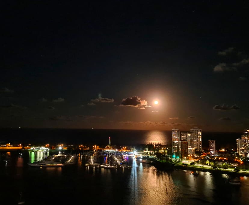 Furnished room with ensuite in a flatshare