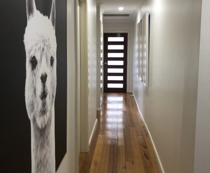 $200, Share-house, 3 bathrooms, Frankston VIC 3199