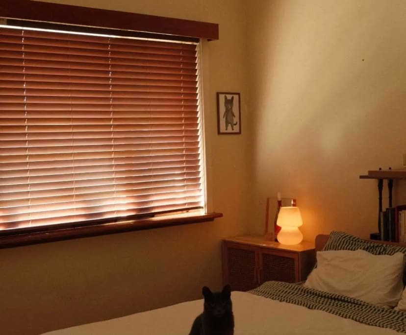 Room in a share house