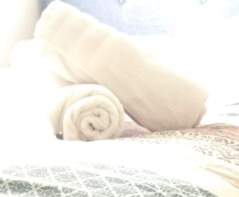 $500, Share-house, 3 bathrooms, Surry Hills NSW 2010