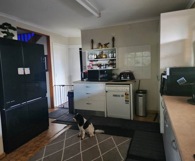 $275, Share-house, 6 bathrooms, Mansfield QLD 4122