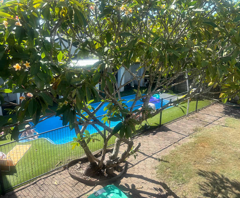 Unfurnished room in a share house