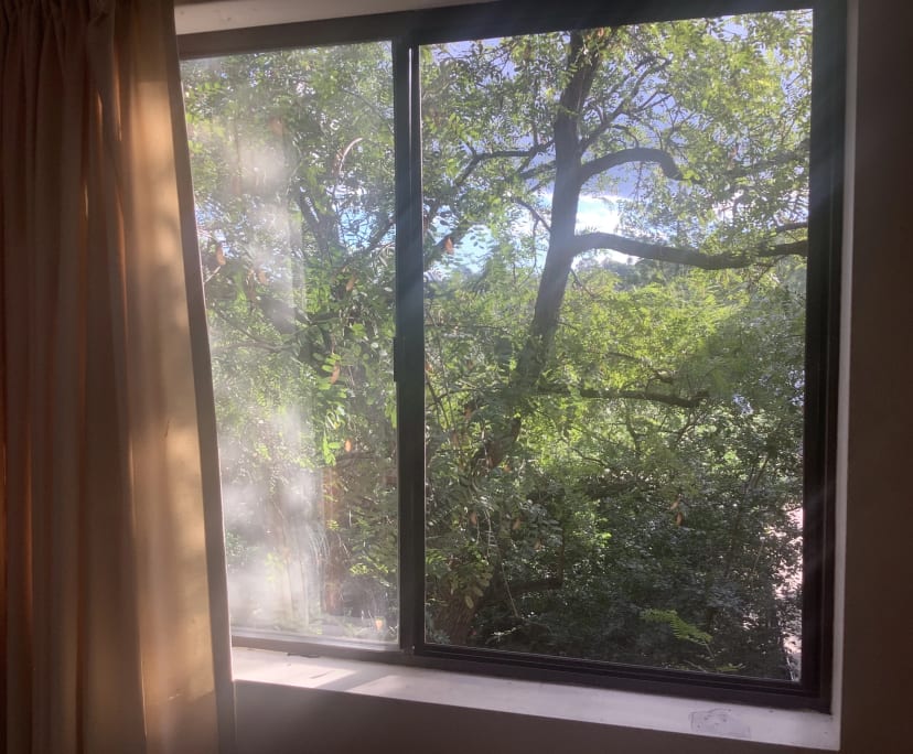 $300, Student-accommodation, 2 bathrooms, Taringa QLD 4068