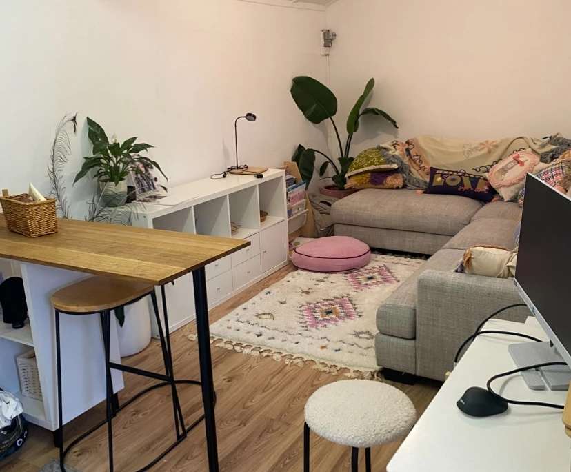 Whole property with 1 room for rent