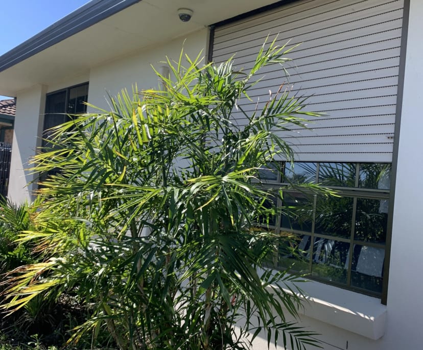 $280, Homestay, 1 bathroom, Paradise Point QLD 4216