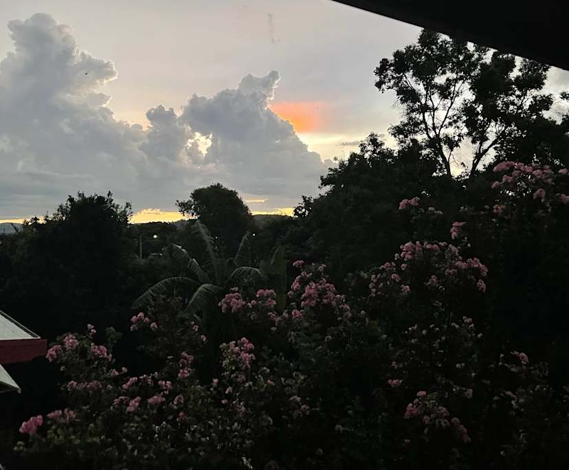 $250, Share-house, 3 bathrooms, East Lismore NSW 2480