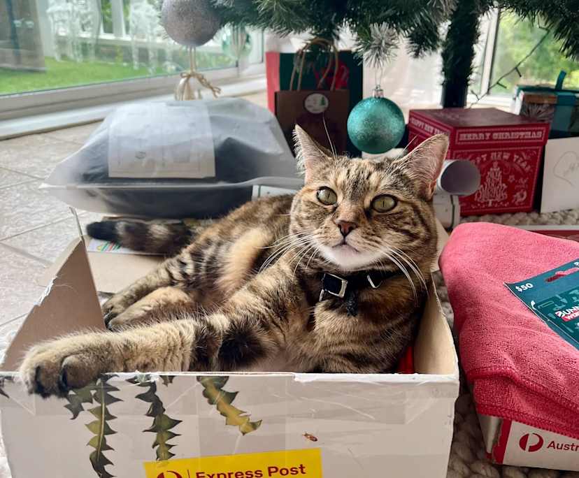 $500, Share-house, 5 bathrooms, Newport NSW 2106