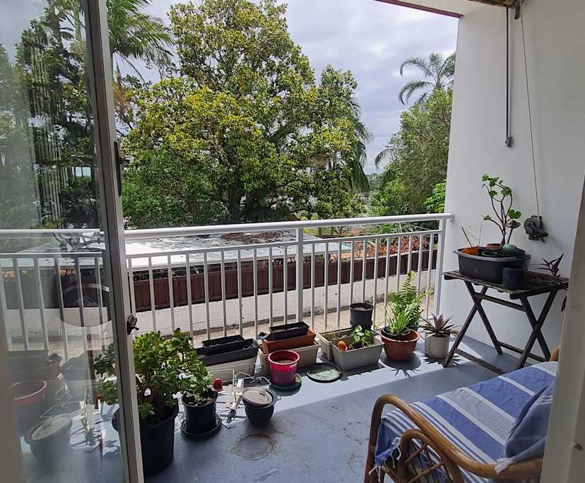 $225, Flatshare, 2 bathrooms, Earlwood NSW 2206