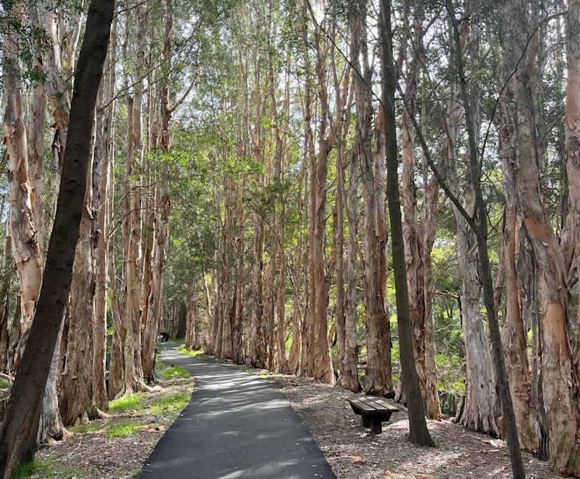 $420-490, Share-house, 2 rooms, Botany NSW 2019, Botany NSW 2019