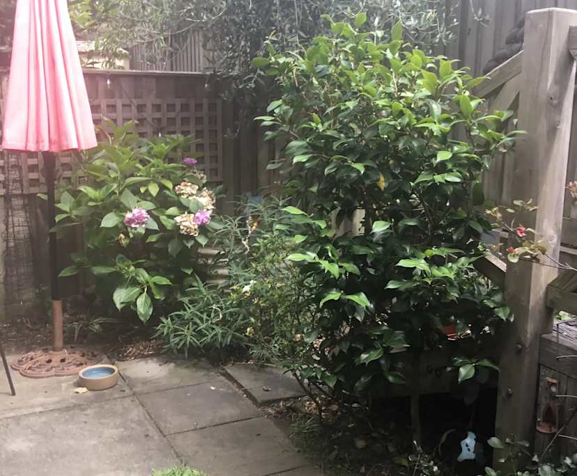 propertyImage