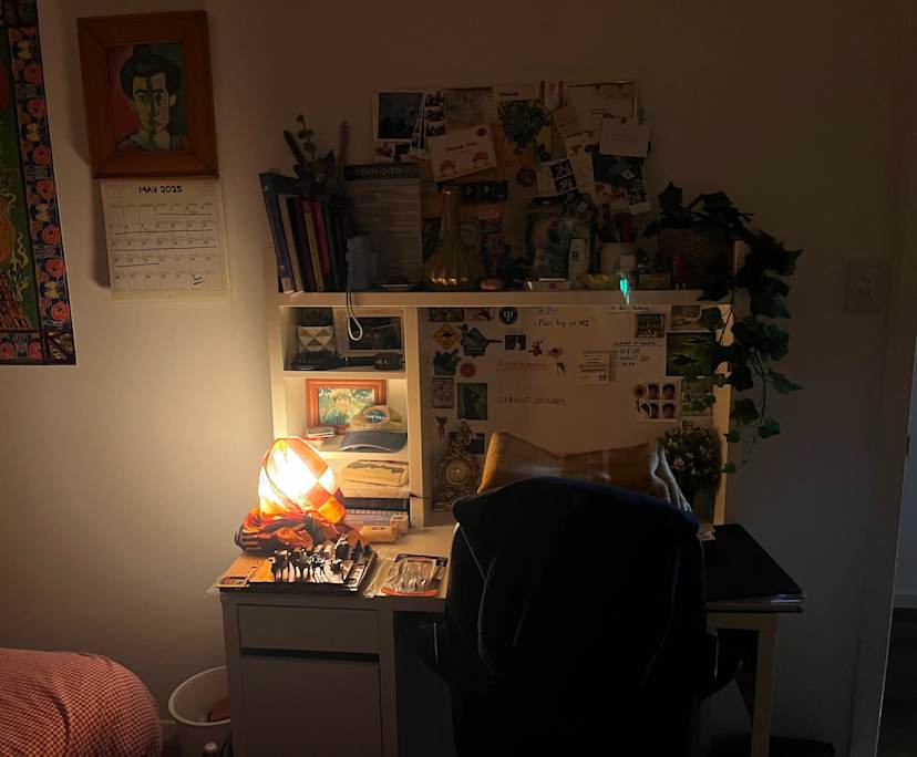 Furnished room in a share house