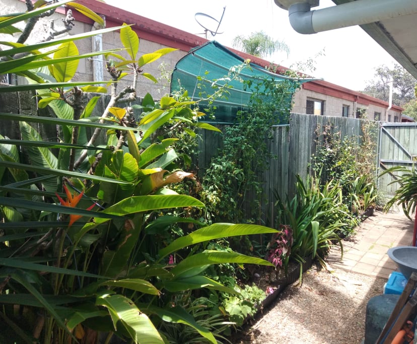 $315, Flatshare, 2 bathrooms, Sunrise Beach QLD 4567