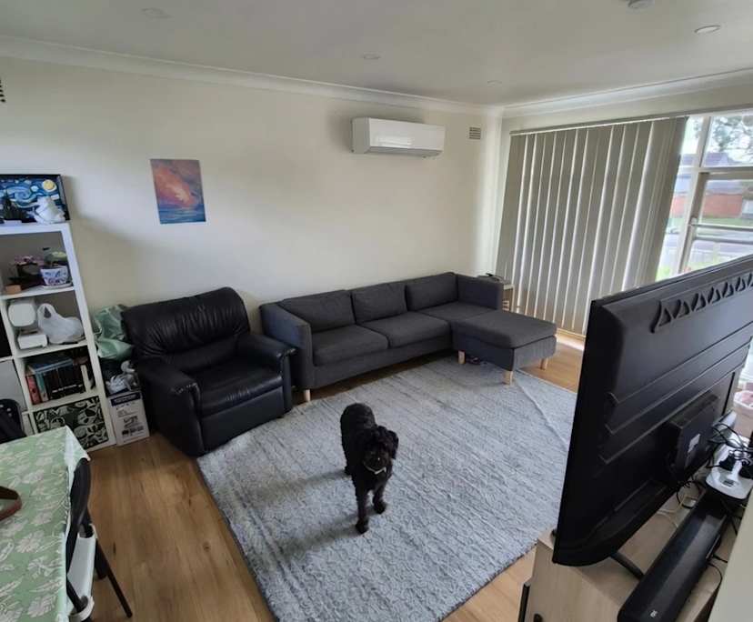 Room in a share house