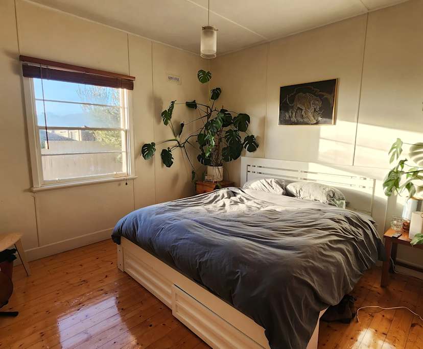 Room in a share house
