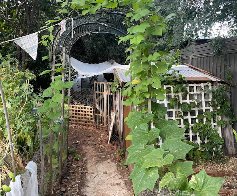 Unfurnished room in a share house