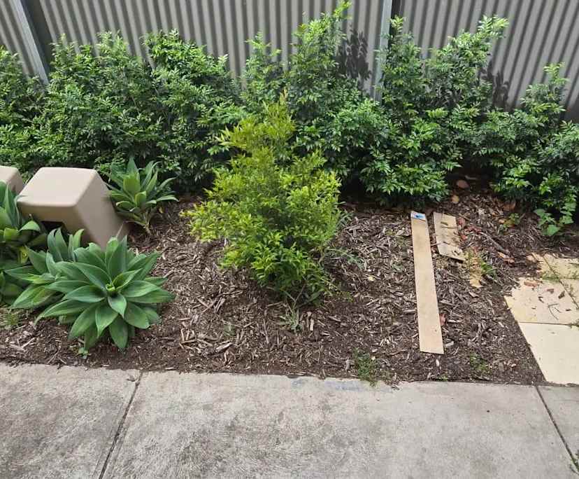 $200, Flatshare, 2 bathrooms, Norwood SA 5067