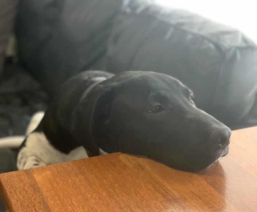 $245-250, Share-house, 2 rooms, Warragul VIC 3820, Warragul VIC 3820