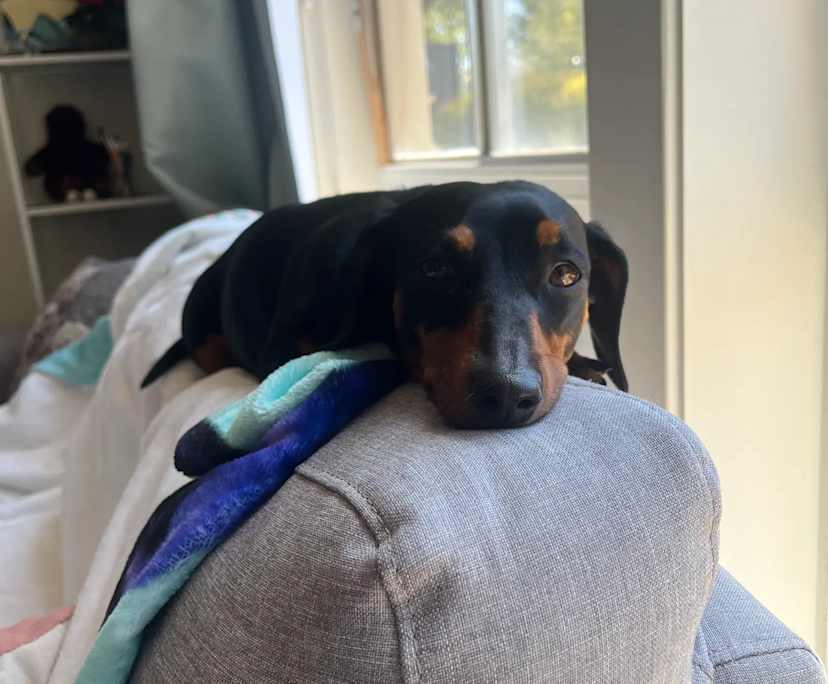 $208-215, Share-house, 2 rooms, Higgins ACT 2615, Higgins ACT 2615