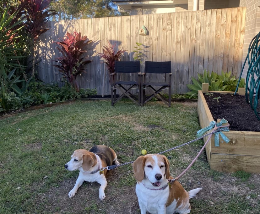 $270, Flatshare, 3 bathrooms, Willow Vale QLD 4209