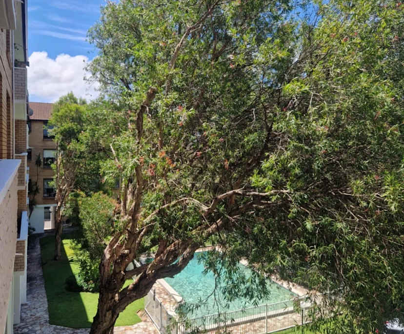 $425, Flatshare, 3 bathrooms, Randwick NSW 2031