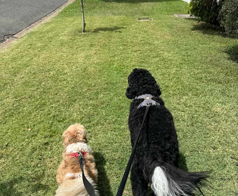 $300, Share-house, 3 bathrooms, Mount Gravatt East QLD 4122