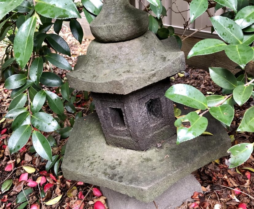 $300, Share-house, 3 bathrooms, O'Connor ACT 2602