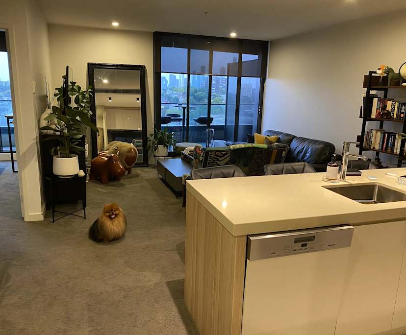 $360, Flatshare, 2 bathrooms, South Yarra VIC 3141