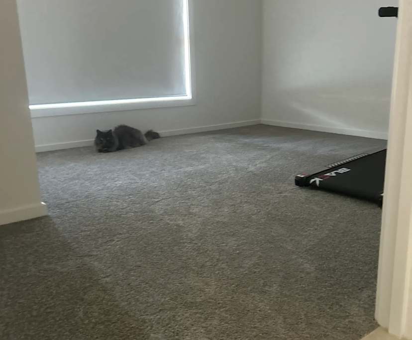 Room with own bathroom