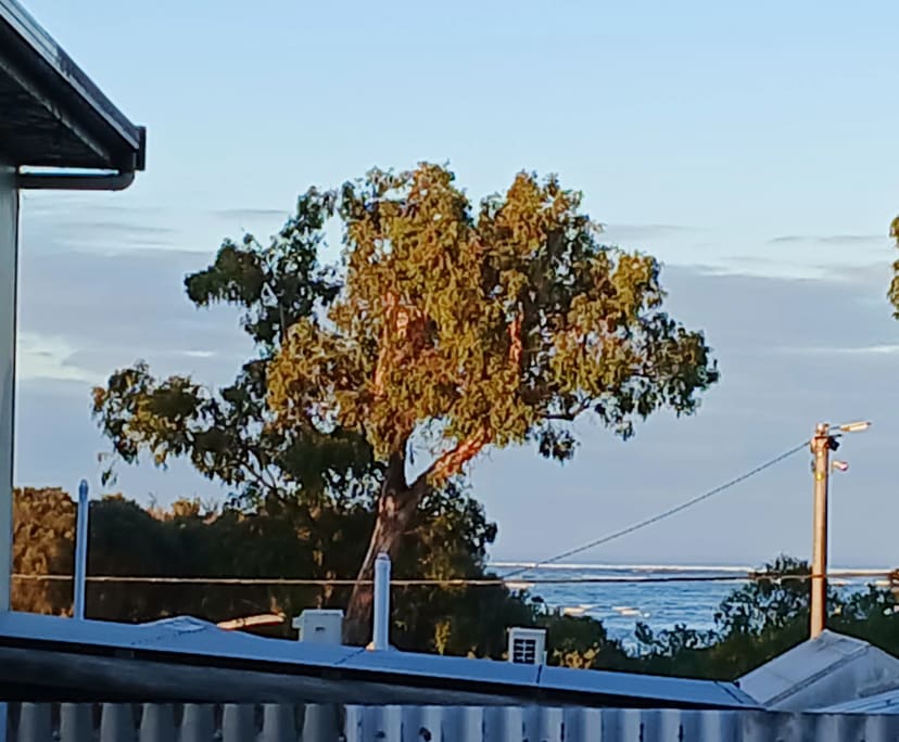 $350, Share-house, 4 bathrooms, Inverloch VIC 3996