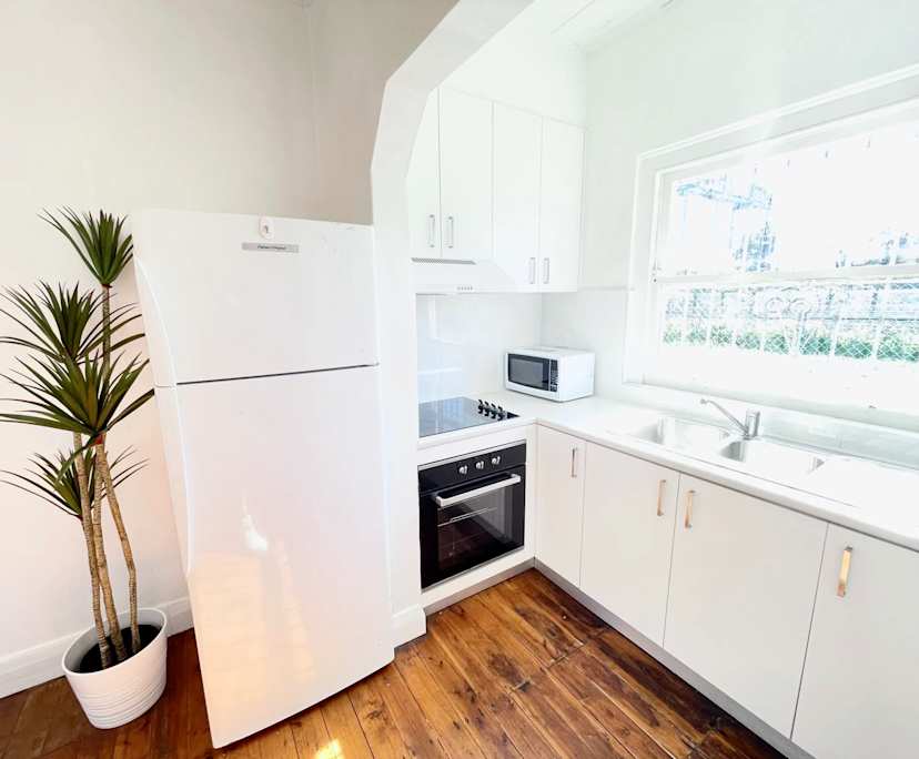 $260, Share-house, 4 bathrooms, Ashfield NSW 2131