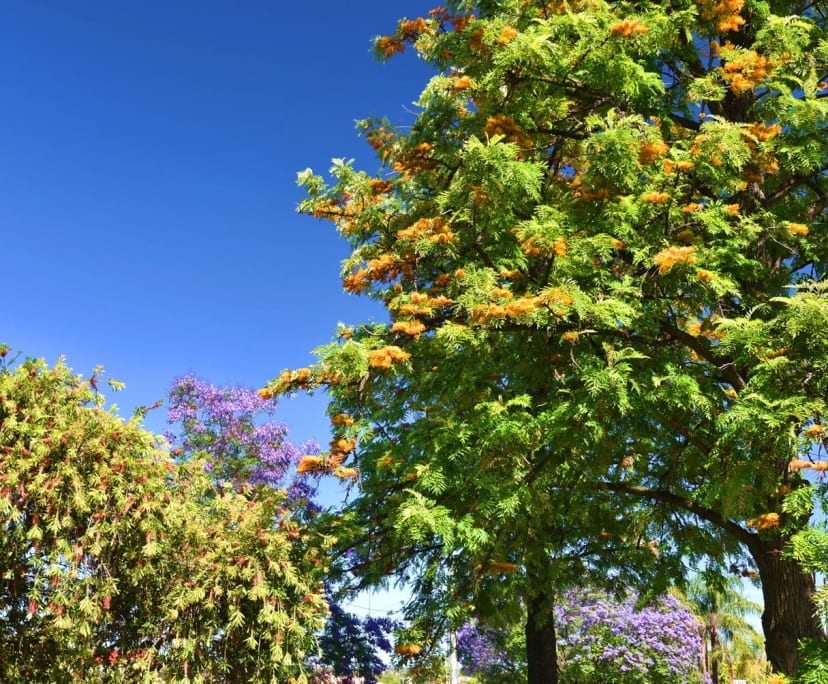 $175, Share-house, 4 bathrooms, South Tamworth NSW 2340