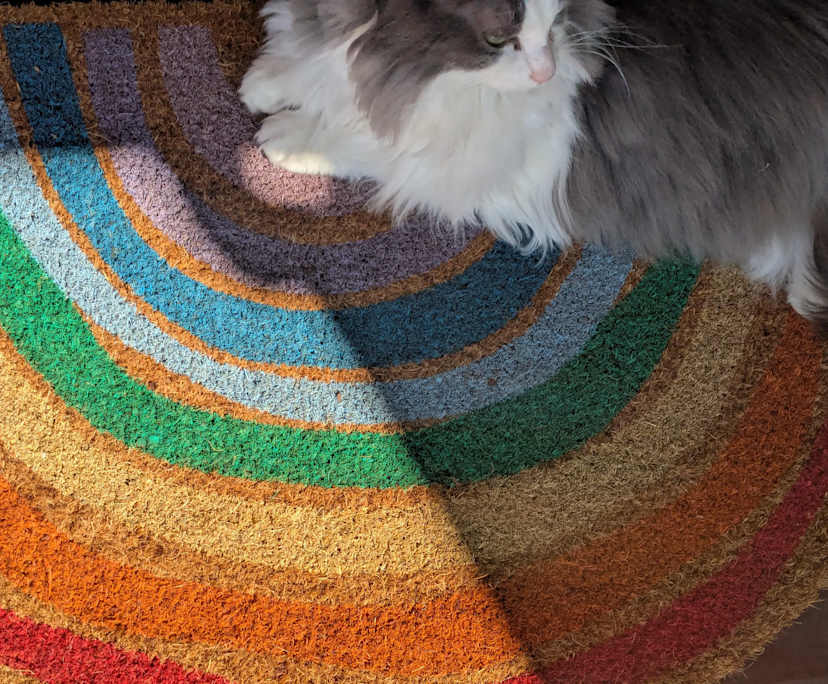 $250, Share-house, 3 bathrooms, Mount Pleasant VIC 3350