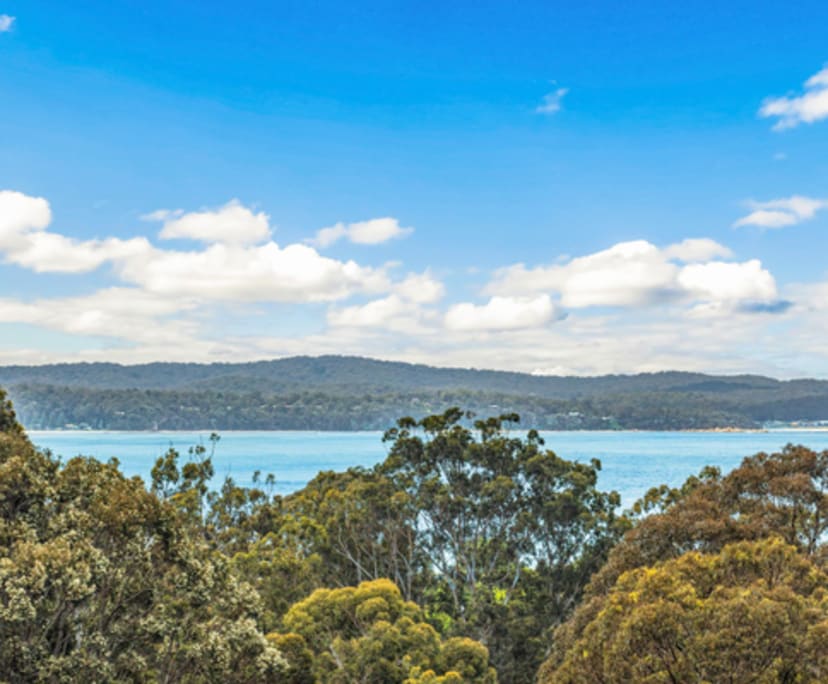 $350, Share-house, 4 bathrooms, Catalina NSW 2536