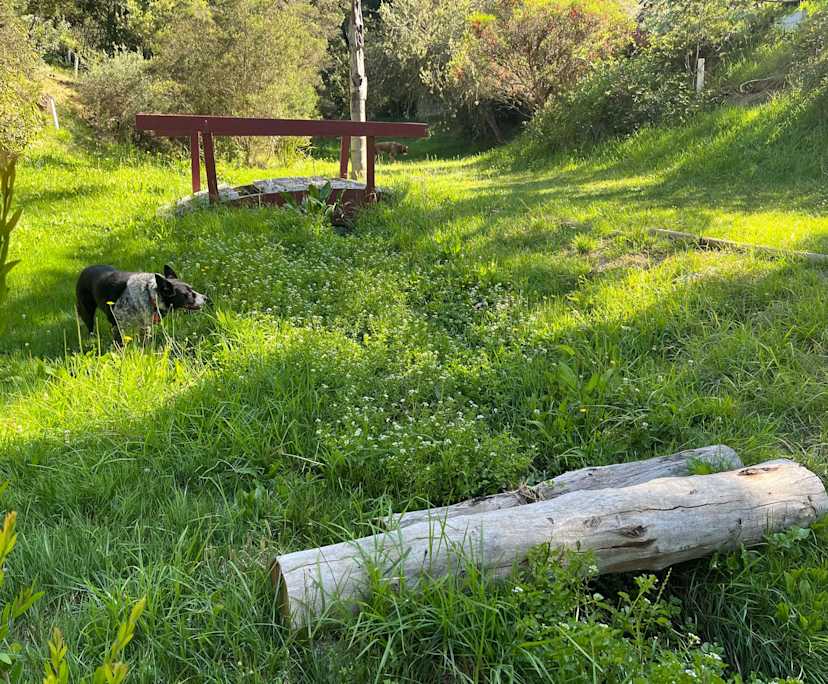 $400, Share-house, 5 bathrooms, Mount Eliza VIC 3930