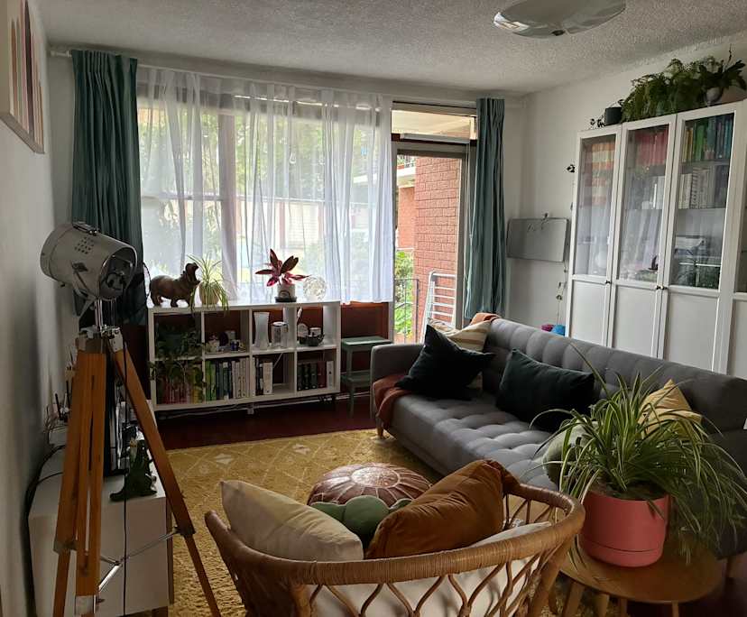 $295, Flatshare, 2 bathrooms, Ashfield NSW 2131