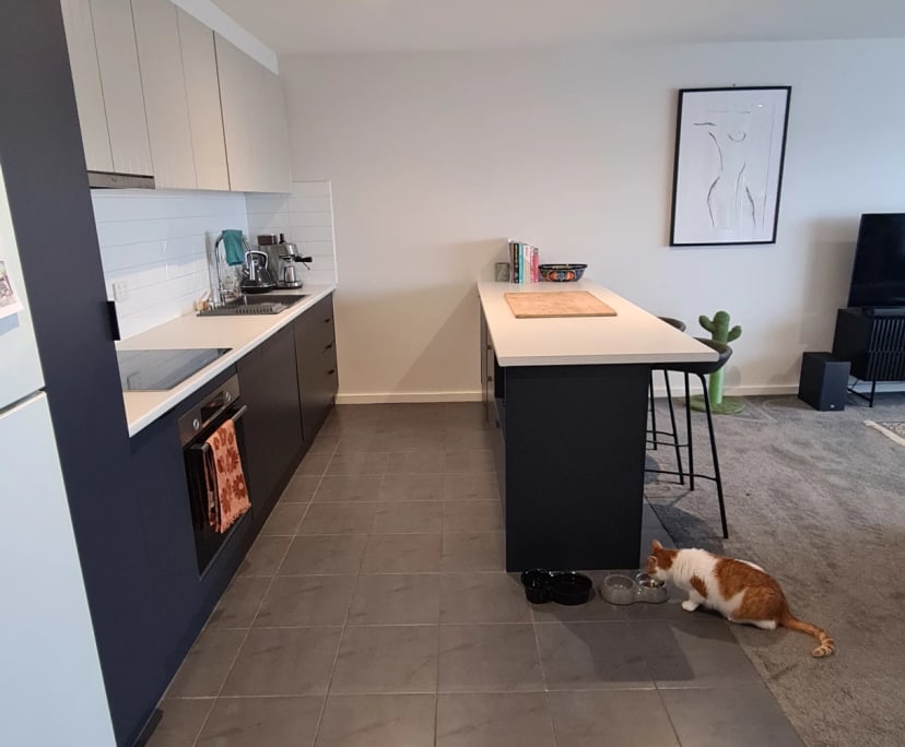 Room in a flatshare