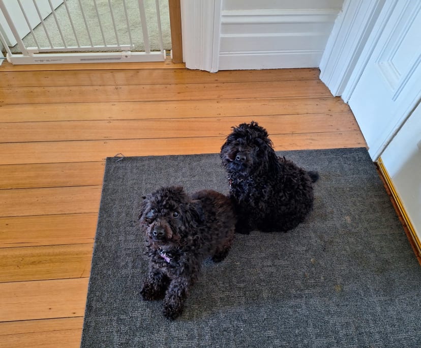 $400, Share-house, 2 bathrooms, East Launceston TAS 7250