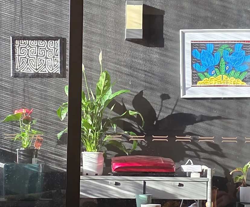 $410, Flatshare, 2 bathrooms, Newstead QLD 4006