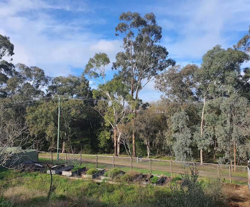 $240, Share-house, 4 bathrooms, Coburg North VIC 3058