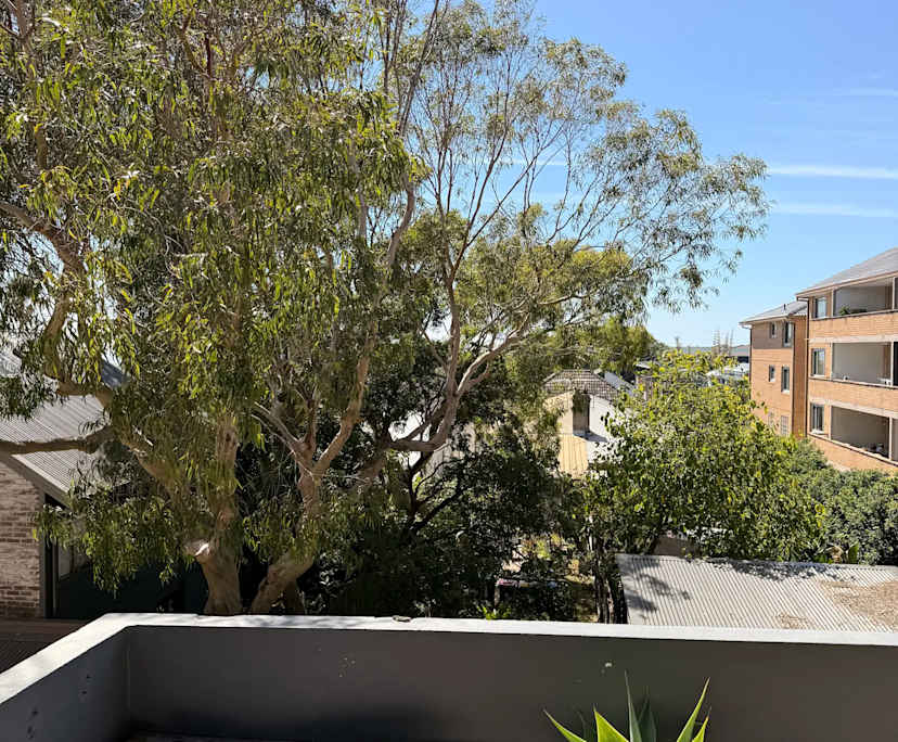 $500, Flatshare, 2 bathrooms, Bondi NSW 2026
